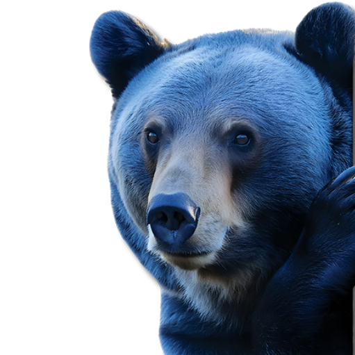 Blue Bear